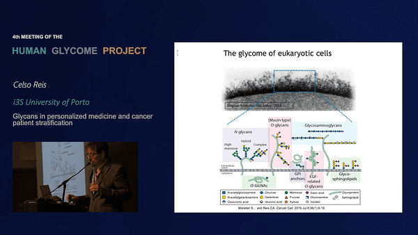 Glycans in personalized medicine and cancer patient stratification