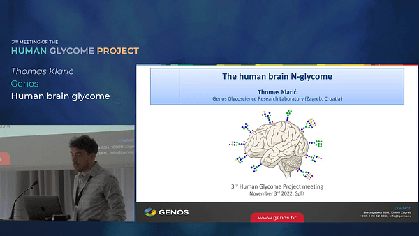 The Human Brain N Glycome