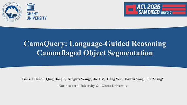 CamoQuery: Language-Guided Reasoning Camouflaged Object Segmentation