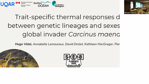Trait-specific thermal responses differ between genetic lineages and sexes in the global invader Carcinus maenas