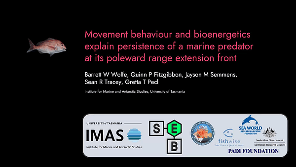 Movement behaviour and bioenergetics explain persistence of a marine predator at its poleward range extension front