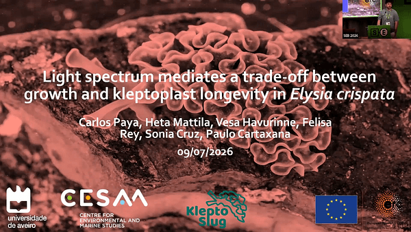 Light spectrum affects growth and kleptoplast longevity in the sea slug Elysia crispata