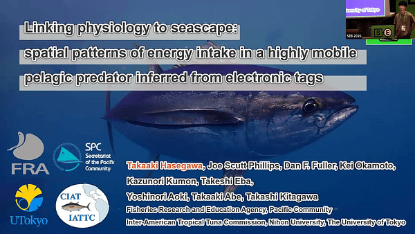 Linking physiology to seascape: spatial patterns of energy intake in a highly mobile pelagic predator inferred from electronic tags