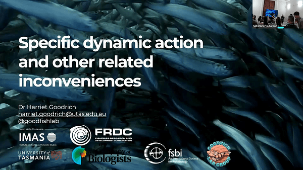 Specific dynamic action and other related inconveniences