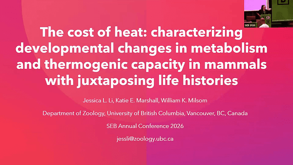 The cost of heat: characterizing developmental changes in metabolism and thermogenic capacity in mammals with juxtaposing life histories