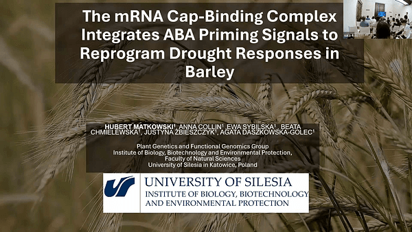 The mRNA Cap-Binding Complex Integrates ABA Priming Signals to Reprogram Drought Responses in Barley