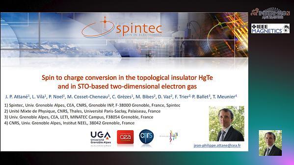  Spin to charge conversion in the topological insulator HgTe and in STO-based two-dimensional electron gas INVITED