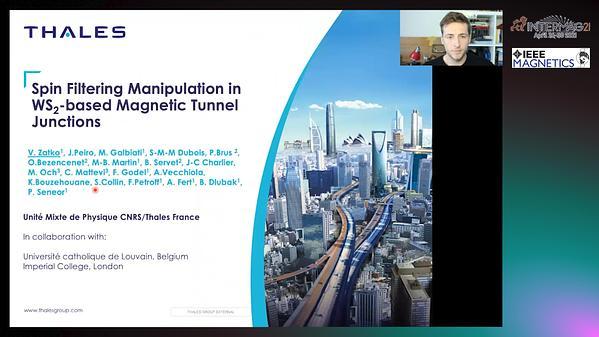  Spin Filtering Manipulation in WS2-based Magnetic Tunnel Junctions