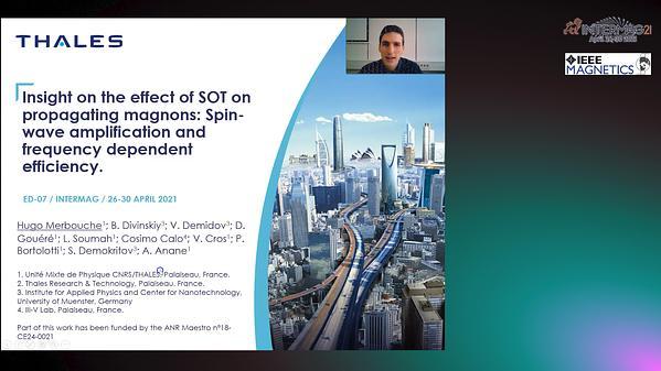  Insight on the effect of SOT on propagating magnons: Spin-wave amplification and frequency dependent efficiency