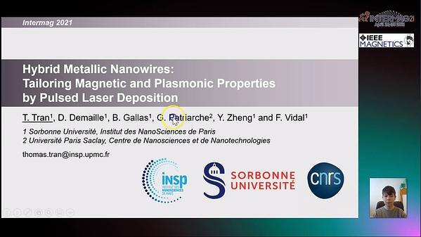  Hybrid Metallic Nanowires: Tailoring Magnetic and Plasmonic Properties by Pulsed Laser Deposition