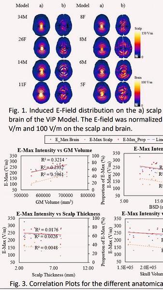  Transcranial Magnetic Stimulation: The Effect of Age and Other Factors on the Intensity of the Quadruple Butterfly Coil