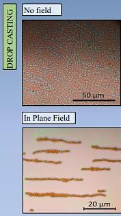  Superparamagnetic nanosphere arrays: Self-assembly and the effect of applied magnetic fields.