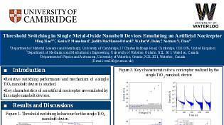 Threshold Switching in Single Metal‐Oxide Nanobelt Devices Emulating an Artificial Nociceptor