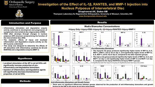 Investigation of the Effect of IL-1B, RANTES, and MMP-1 Injection into Nucleus Pulposus (NP) of Intervertebral Disc (IVD)