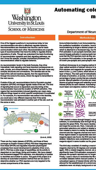 Automating colocalization analysis of confocal microscopy images