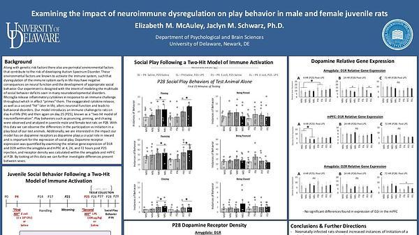 The effect of neuroimmune dysregulation on dopamine receptors and social play behaviors of male and female juvenile rats