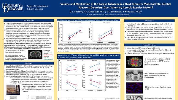 Volume and Myelination of the Corpus Callosum in a Third Trimester Model of Fetal Alcohol Spectrum Disorders: Does Voluntary Aerobic Exercise Matter?