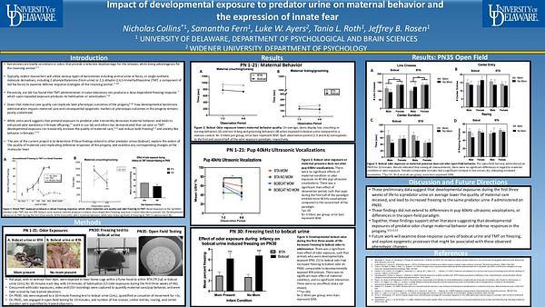 Impact of developmental exposure to predator urine on maternal behavior and the expression of innate fear