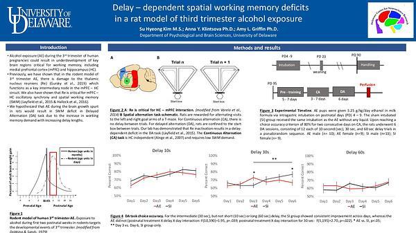 Delay-dependent spatial working memory deficits in a rat model of third trimester alcohol exposure.