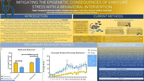 Mitigating the Epigenetic Consequences of Early Life Stress with a Behavioral Intervention