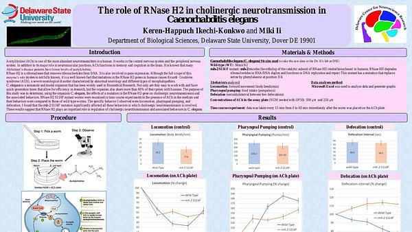 The role of RNase H2 in cholinergic neurotransmission in Caenorhabditis elegans