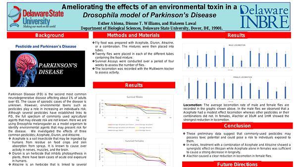 Ameliorating the effects of an environmental toxin in a Drosophila model of Parkinson’s Disease