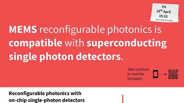 Reconfigurable photonics with on-chip single-photon detectors