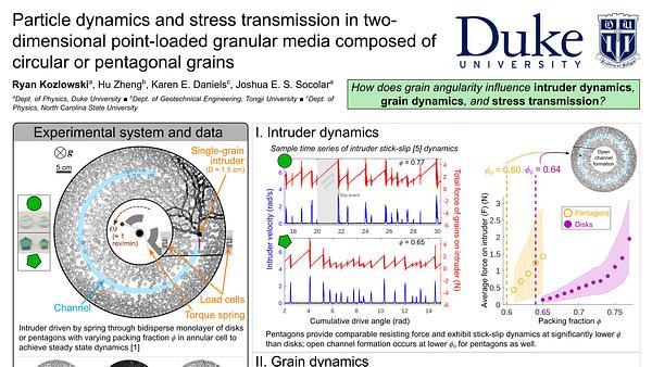 Particle dynamics in two-dimensional point-loaded granular media composed of circular or pentagonal grains