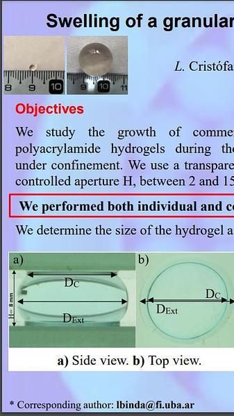 Swelling of a granular hydrogel medium under confinement: individual and collective dynamic