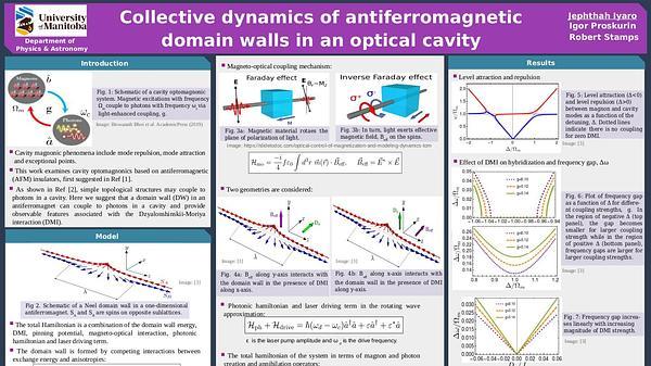 Collective dynamics of antiferromagnetic domain walls in an optical cavity