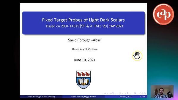 Fixed target probes for the Higgs portal