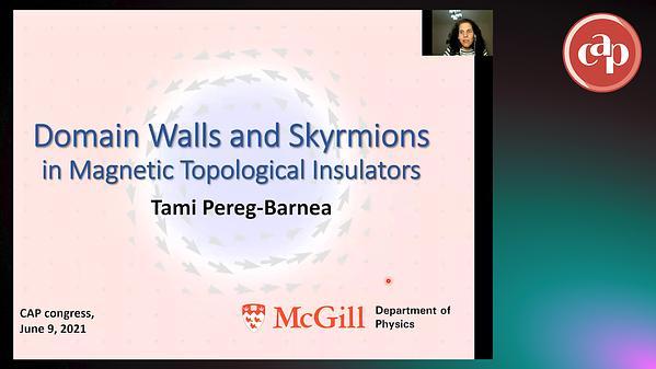 Domain and Skyrmion bound states on the surface of magnetic topological insulators