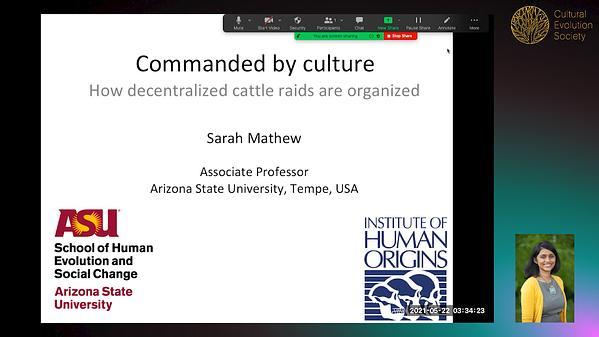 Commanded by culture: how decentralized cattle raids are organized