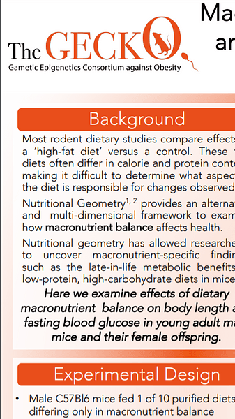 Macronutrients have differential effects on anthropometry and metabolic health in male mice and their daughters