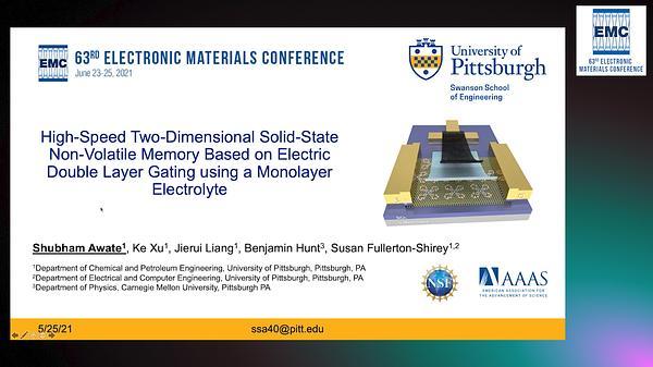 High-Speed Two-Dimensional Solid-State Non-Volatile Memory Based on Electric Double Layer Gating Using a Monolayer Electrolyte