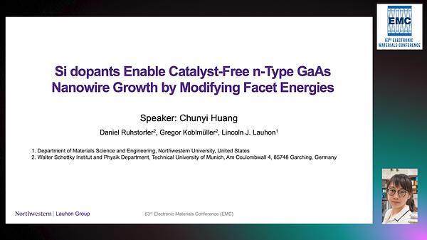 Si Dopants Enable Catalyst-Free n-Type GaAs Nanowire Growth by Modifying Facet Energies