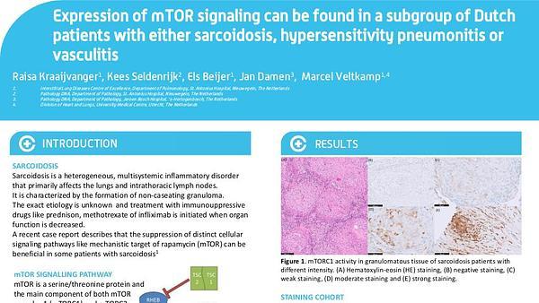 Expression of mTOR signaling can be found in a subgroup of Dutch patients with either sarcoidosis, hypersensitiviy pneumonitis or vasculitis