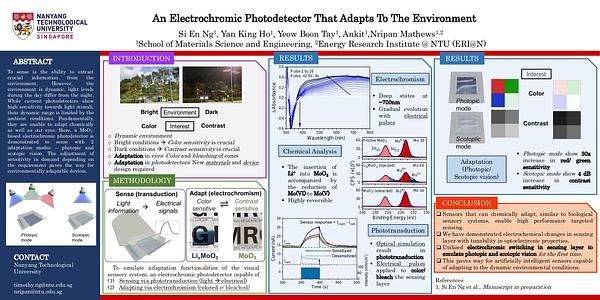 Artificial eye that adapts to the environment - electrochromic photodetector