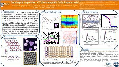 Growth of kagome metal FeGe bilayer nanoflakes — a scanning probe study