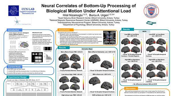 Biological Motion Perception under Attentional Load