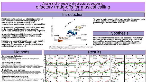 Primates evolved spectrally complex calls in compensation for reduction in olfactory cognition