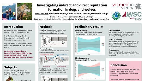 Investigating indirect and direct reputation formation in dogs and wolves