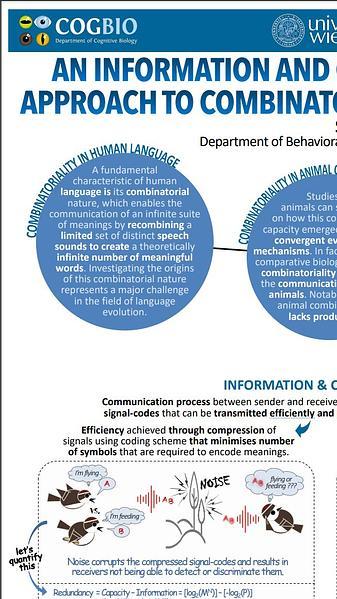 An information and coding theoretical approach to combinatorial communication