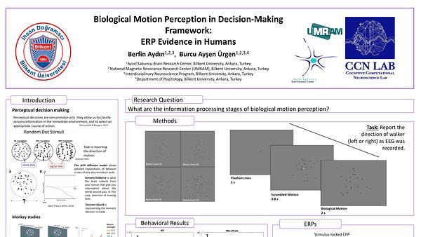 Biological motion perception in perceptual decision-making framework: ERP evidence in humans