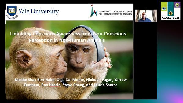 Unfolding Conscious Awareness from Non-Conscious Perception in Non-Human Animals