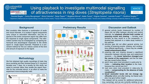 Using playback to investigate multimodal signalling of attractiveness in ring doves (Streptopelia risoria)