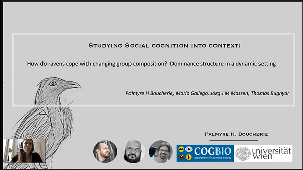 Structure and dynamics of dominance relationships in captive and free-flying ravens (Corvus corax)