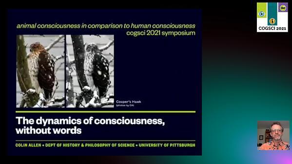 The dynamics of consciousness, without words