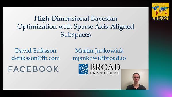  High-Dimensional Bayesian Optimization with Sparse Axis-Aligned Subspaces