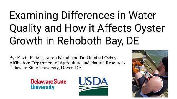 Examining Differences in Water Quality and How it Affects Oyster Growth in Rehoboth Bay, DE